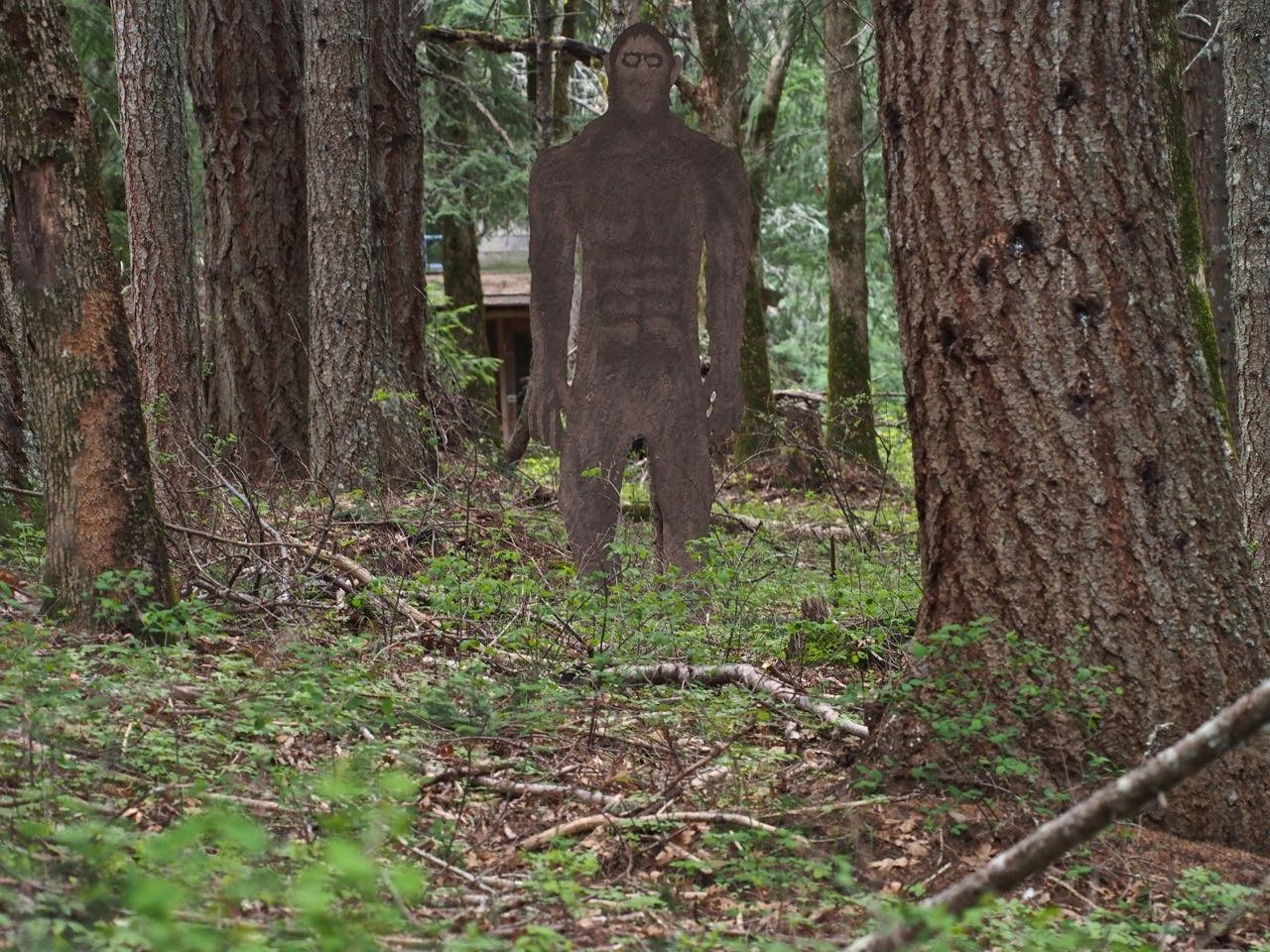 Sasquatch as seen as the trail passes through private property!