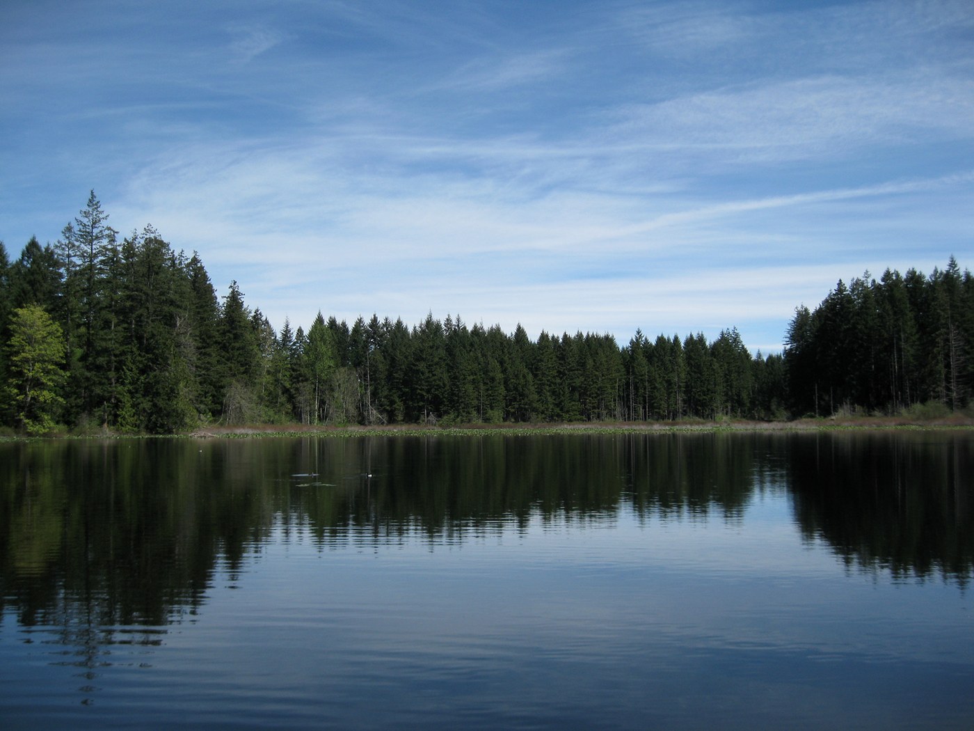 View across Yellow Lake from dock. Photo by Quantum Guru.