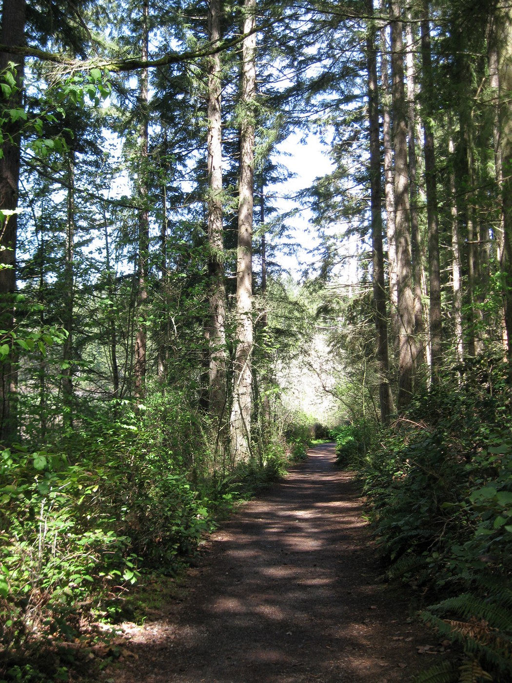 Yellow Lake gravel path. Photo by Quantum Guru.