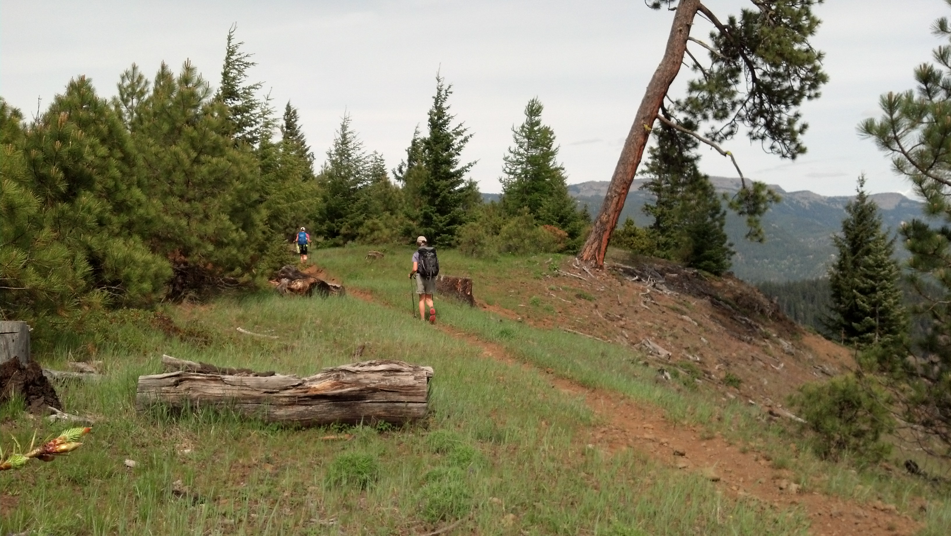Indian Flat, Fifes Ridge — Washington Trails Association