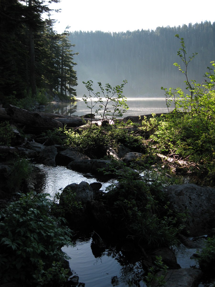 Outlet of Mason Lake. Early morning. Quantum Guru photo.