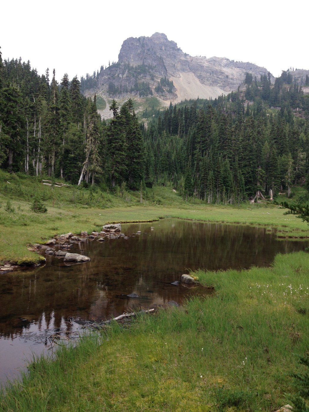 Dewey Peak from the PCT