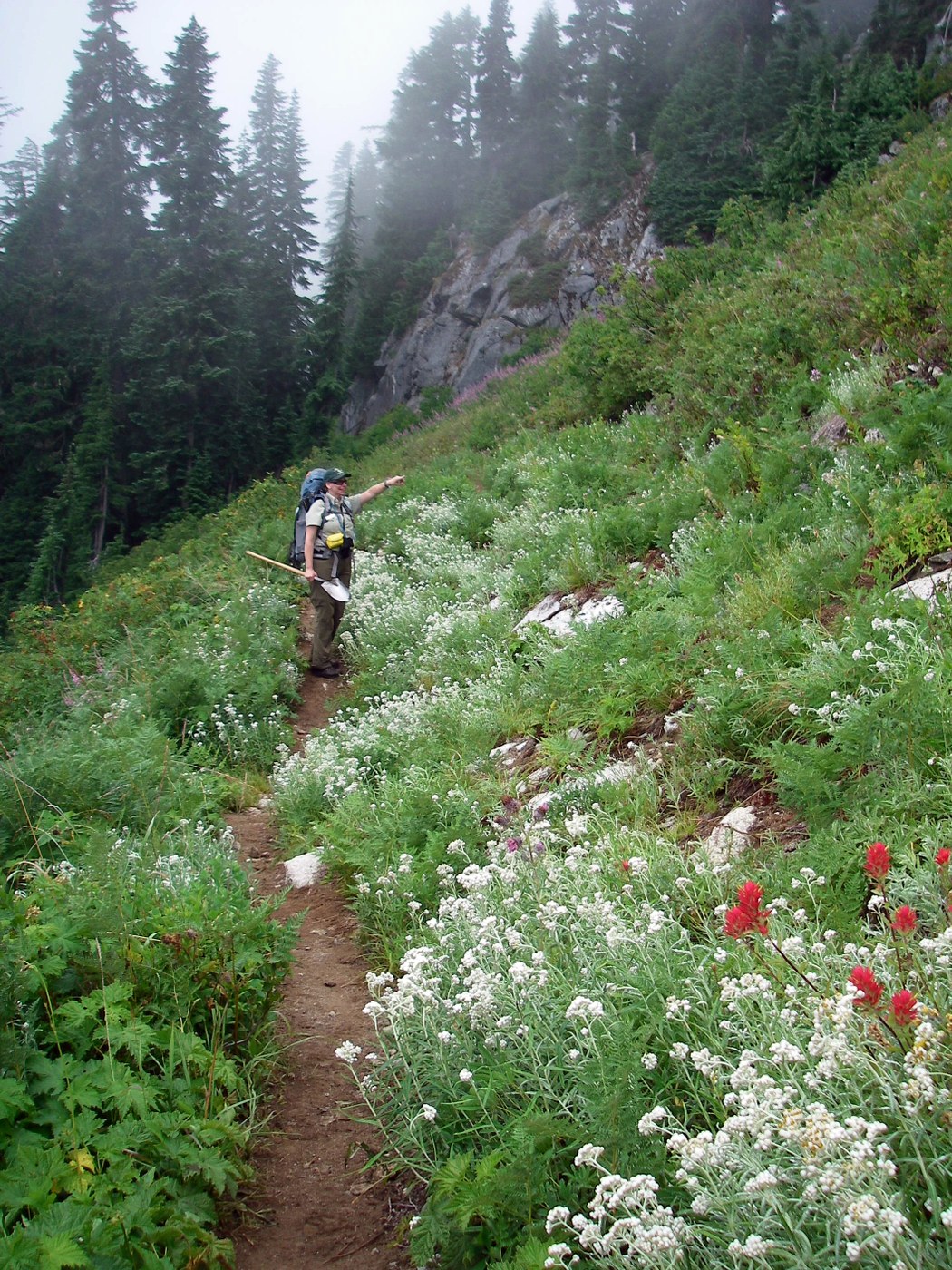 Gwen and a trail lined with pearly everlasting