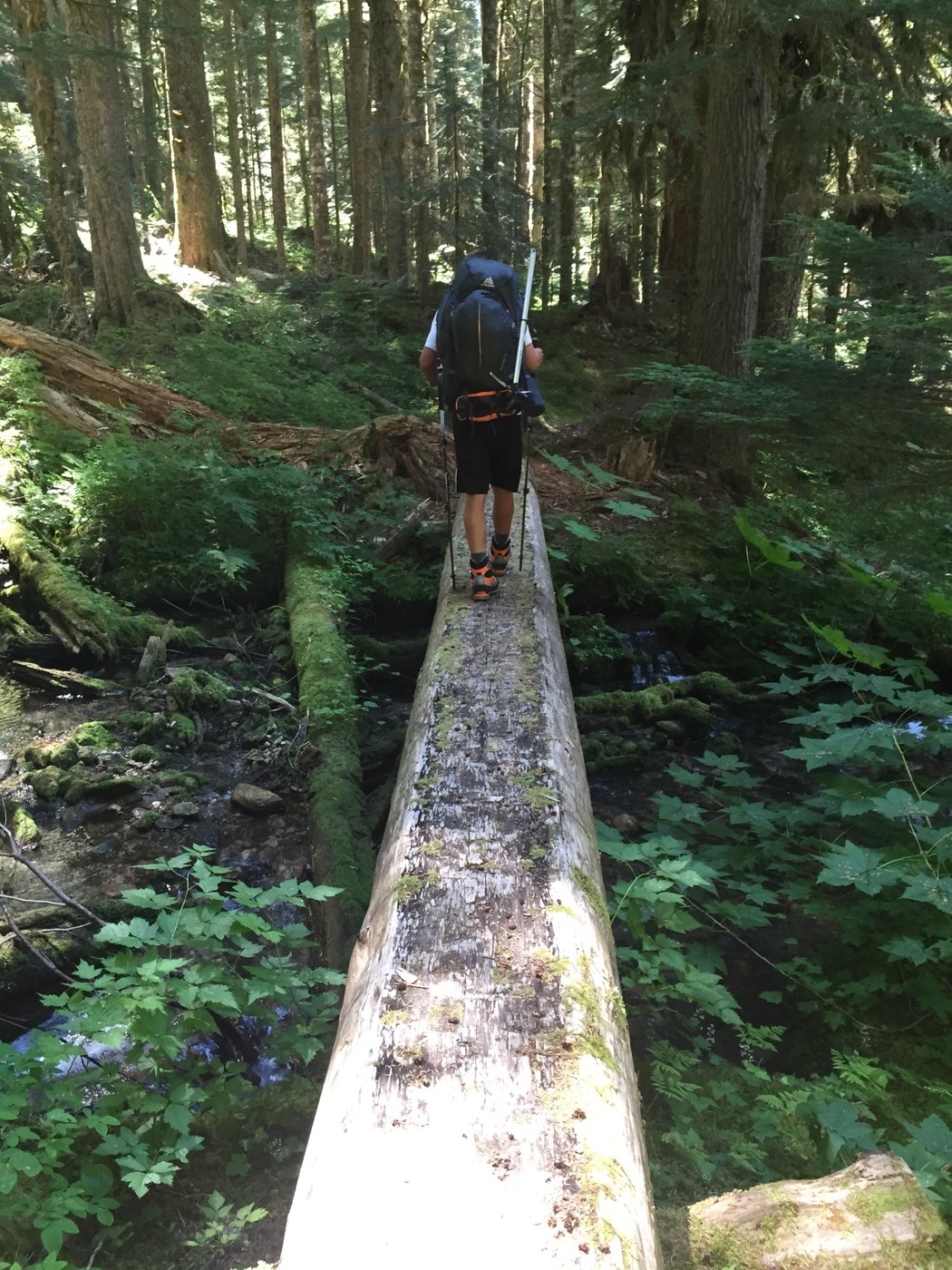 I love wide, textured bridges!