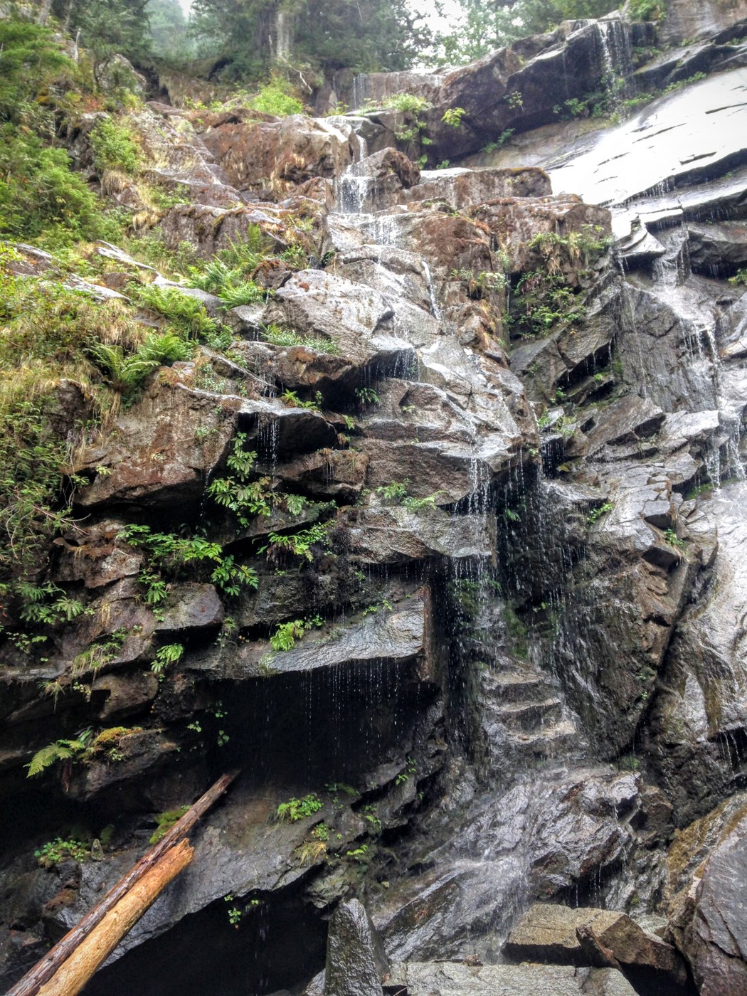 A trickling lower fall, just after the fork in the trail towards Lake Serene