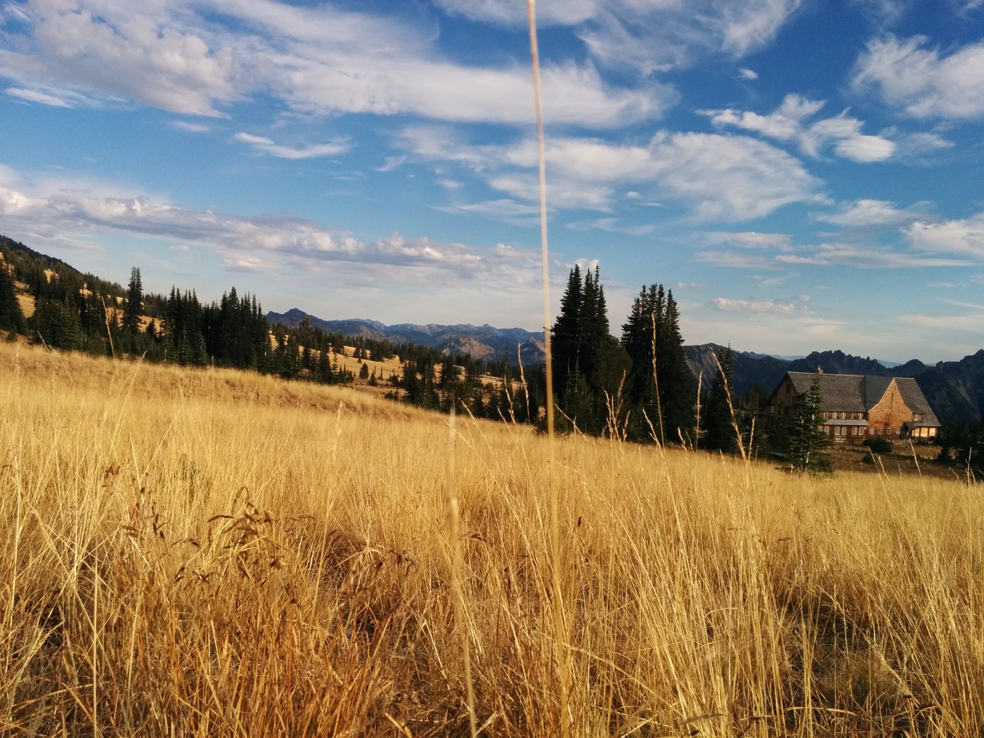 The golden glow of Sunrise meadows in autumn