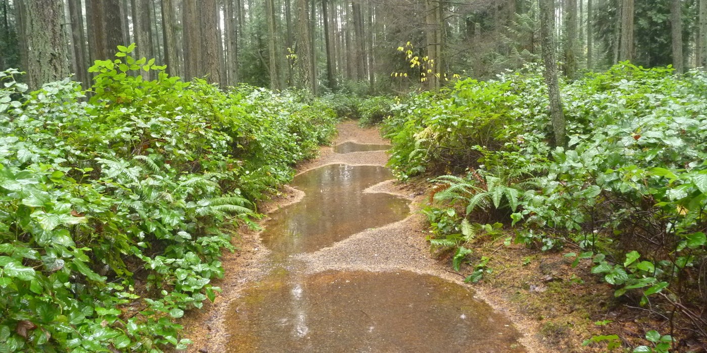 Trail