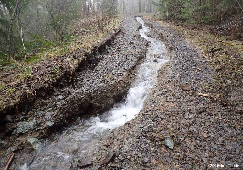Rutted Road