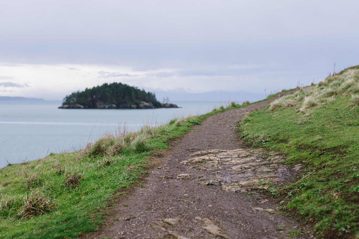 Trail on Rosario Head. Deception Island in the background.