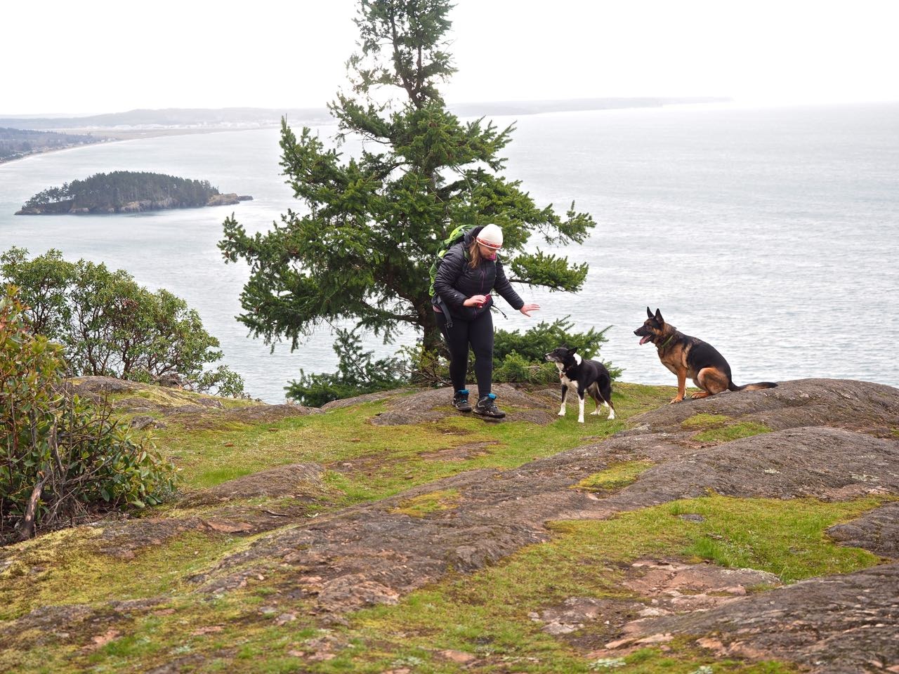 Southern view from Sares Head with Anya trying to get Shelby and Loki to pose for a picture!