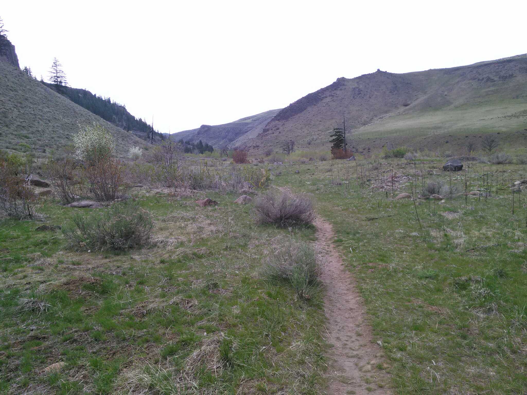 Tieton River Nature Trail — Washington Trails Association