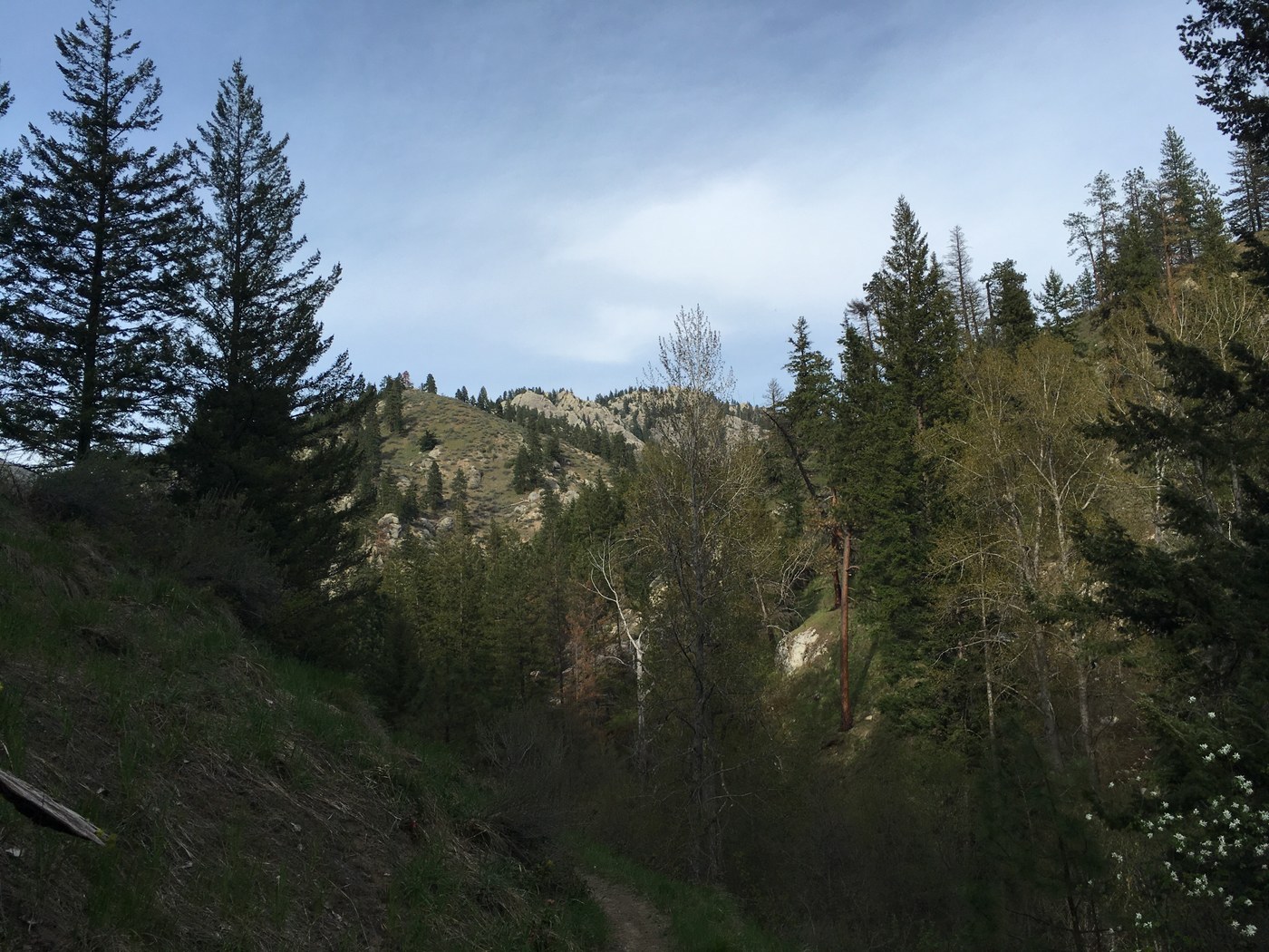 Devils Gulch by Singletronz