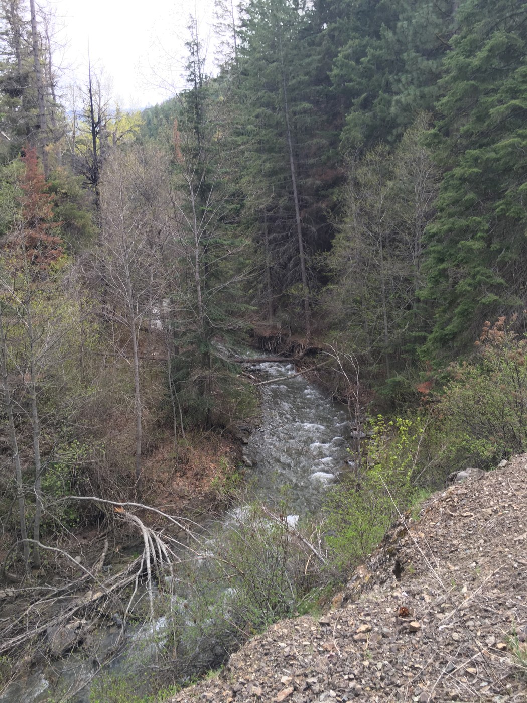 Devils Gulch by Singletronz