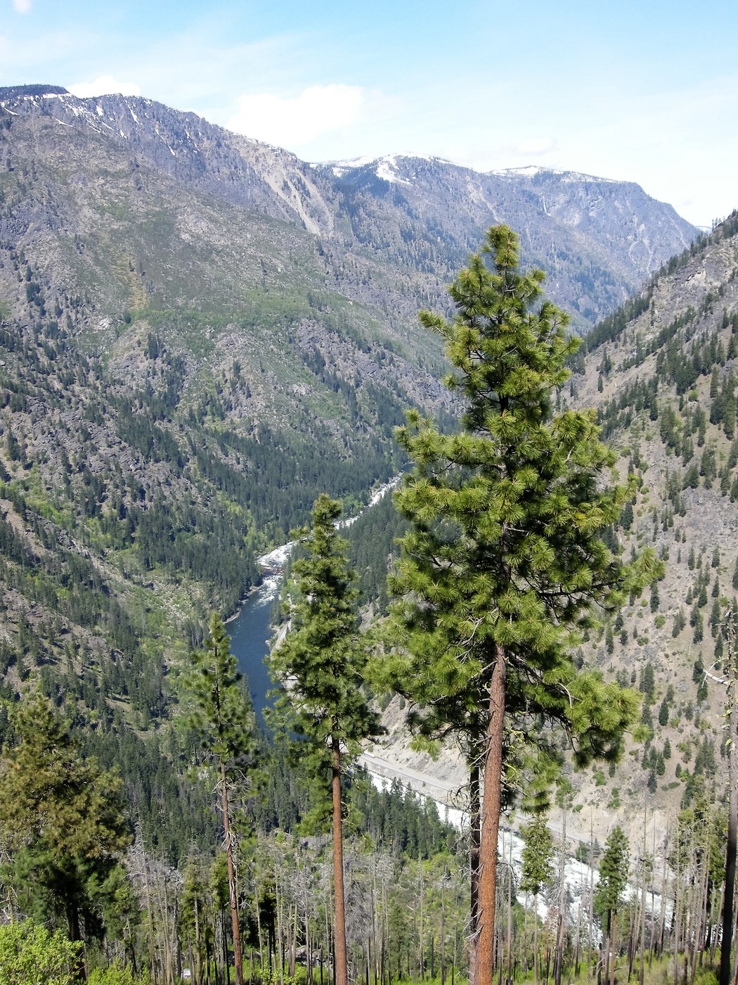 View of the Wenatchee River and Highway 2 from Icicle Ridge
