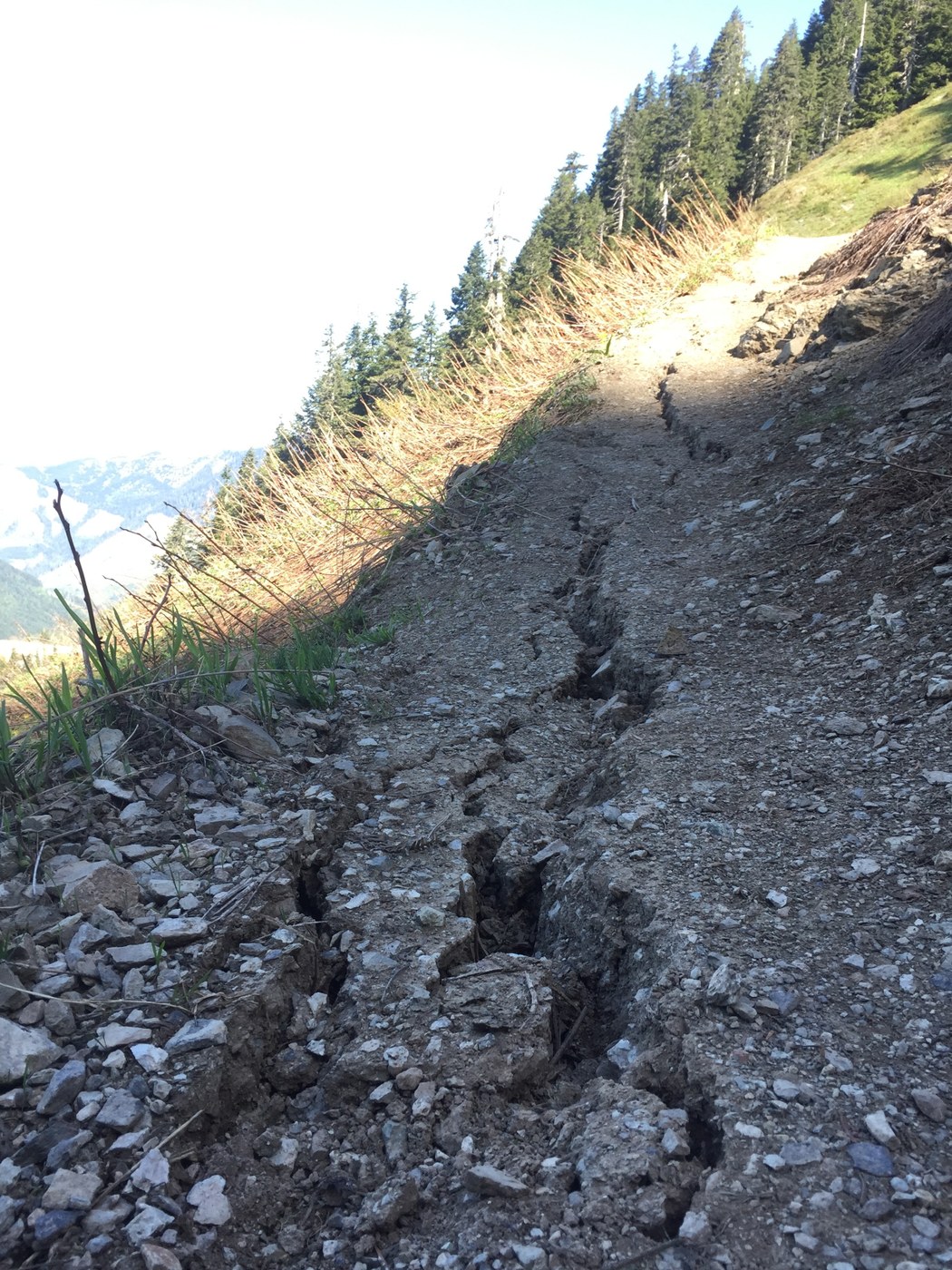 Fissures in trail