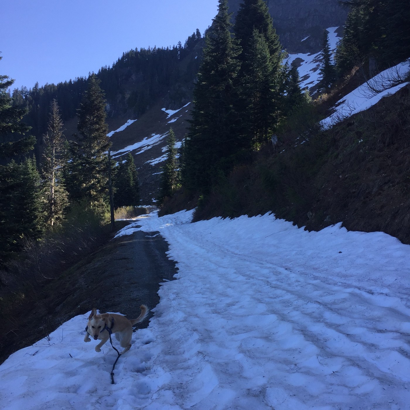 Snow prior to the trailhead