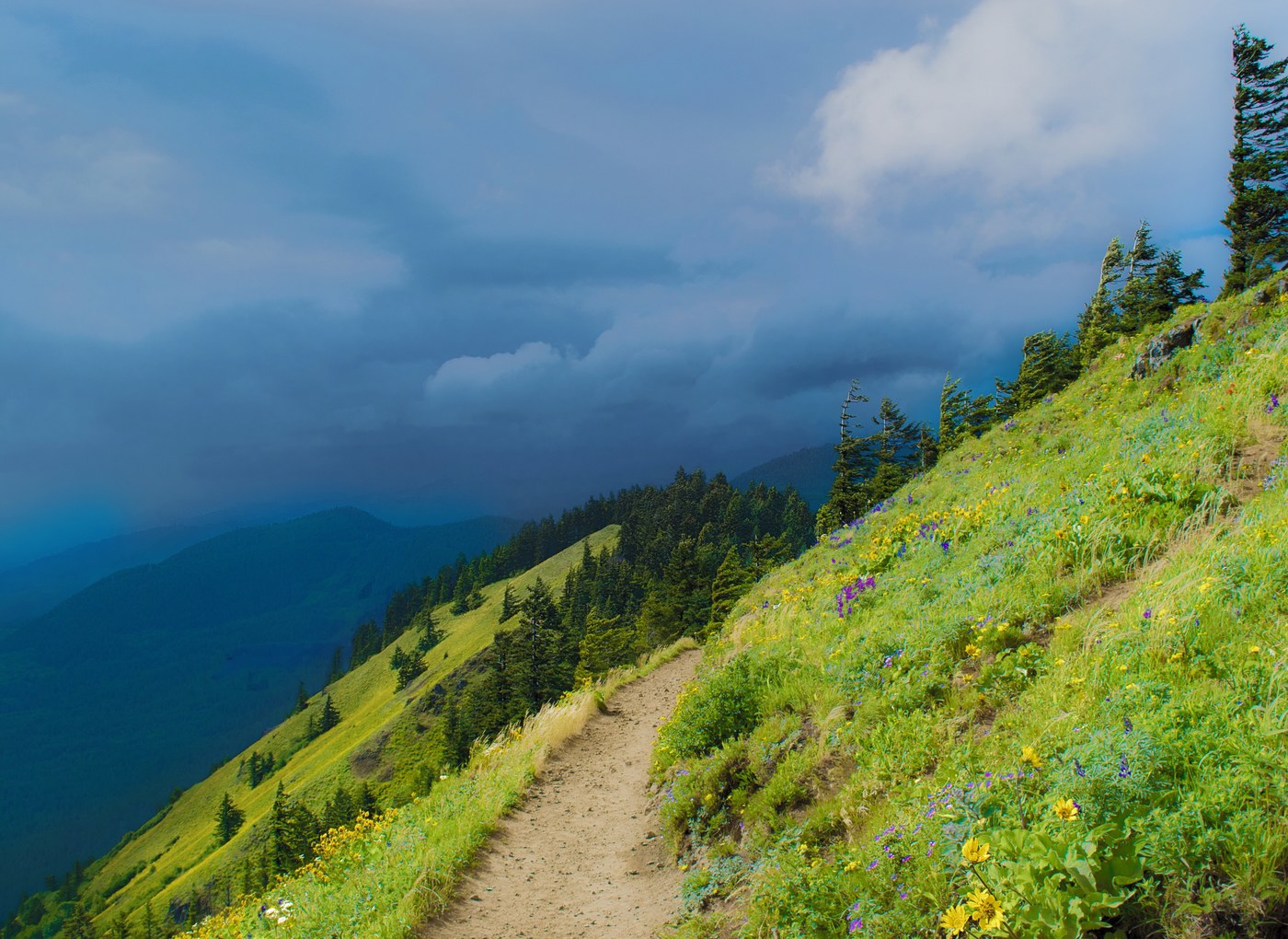 Dog Mountain by sophiarose