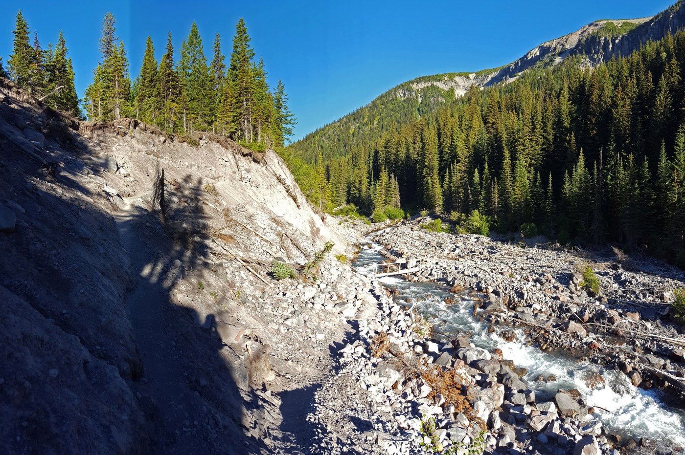 New section of trail ascending the moraine
