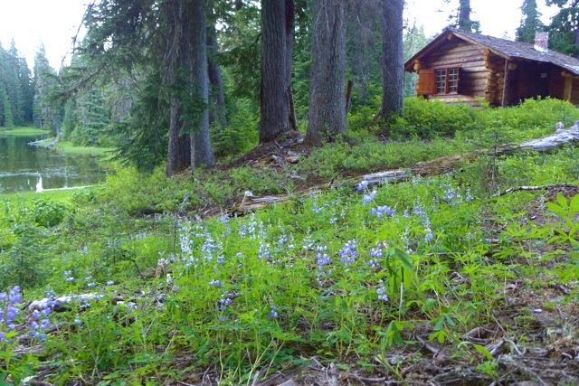 Patrol cabin at Three Lakes
