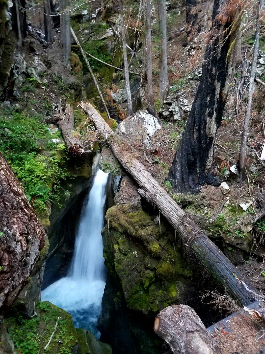 Ladder Creek Falls by WonderSmash