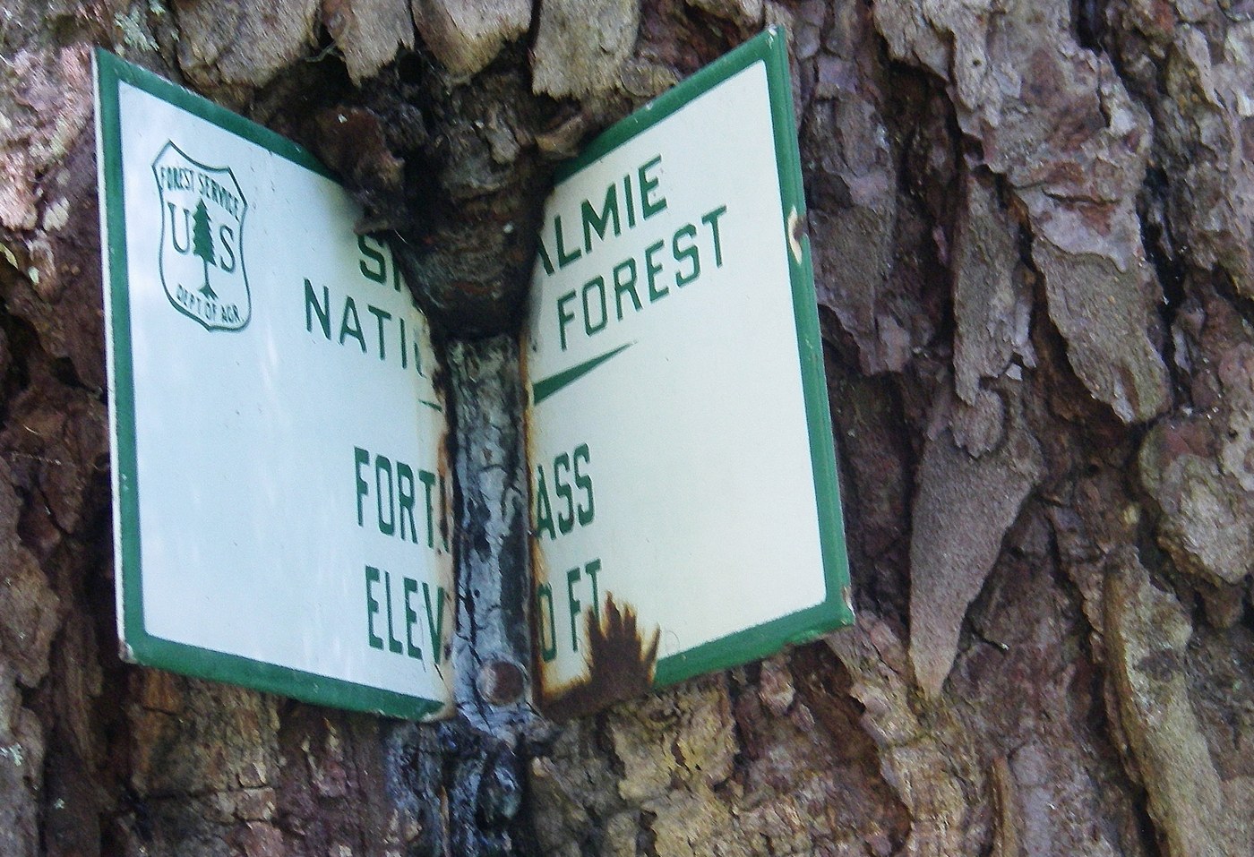 Old sign, bent by growth of tree. "Fort Ass."