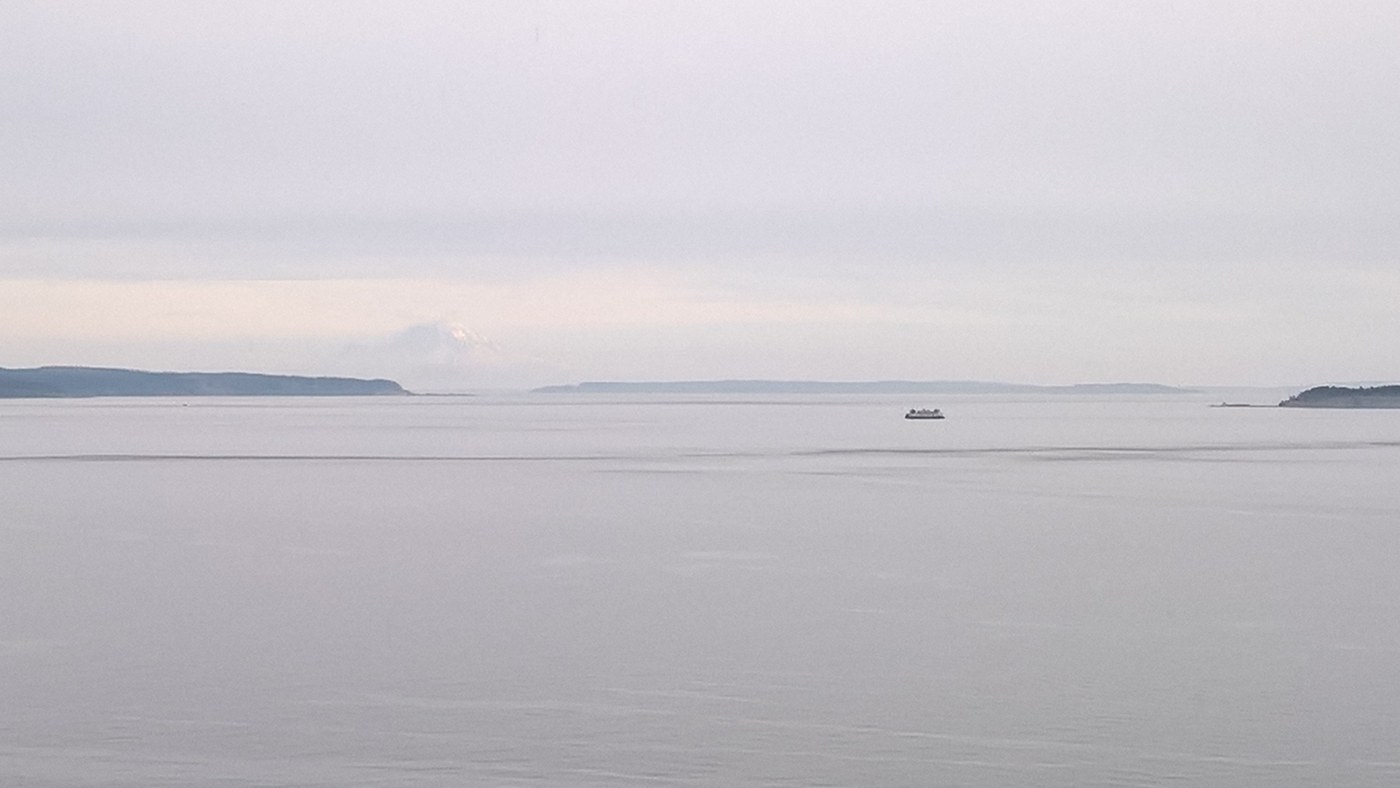 Ferry zooming in the sound with Mount Rainier illuminated in the background.