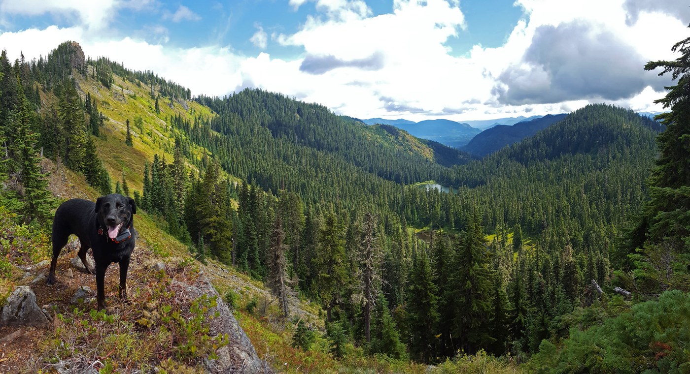 View from Ridge