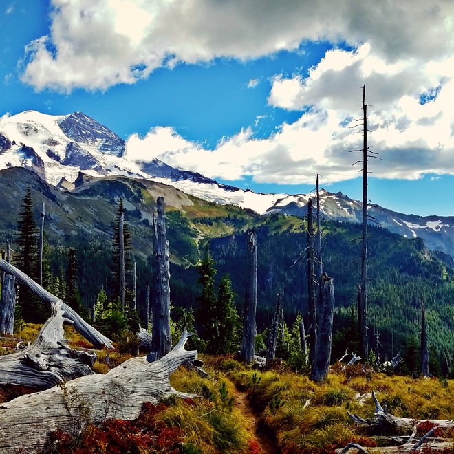 Just past Golden Lakes 