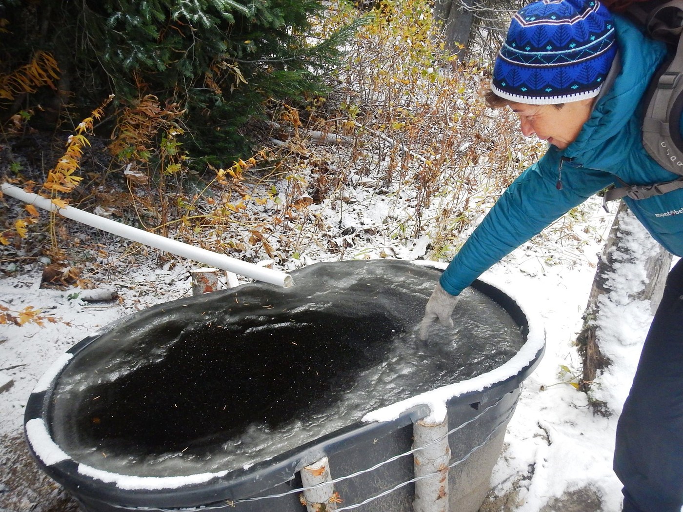 Frozen Water Trough source