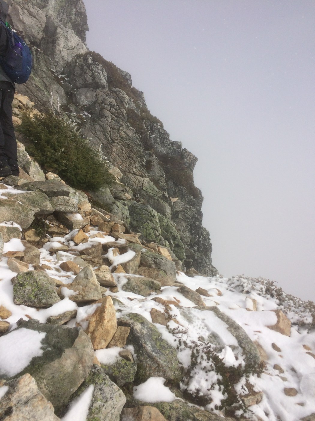 Before false summit
