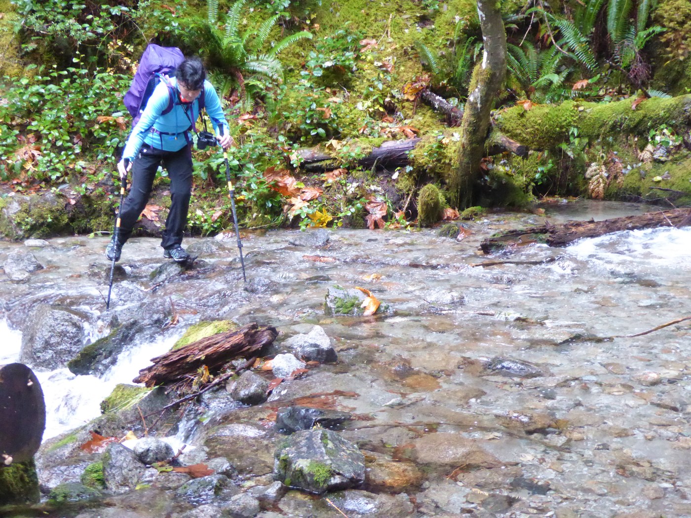 Creek crossing