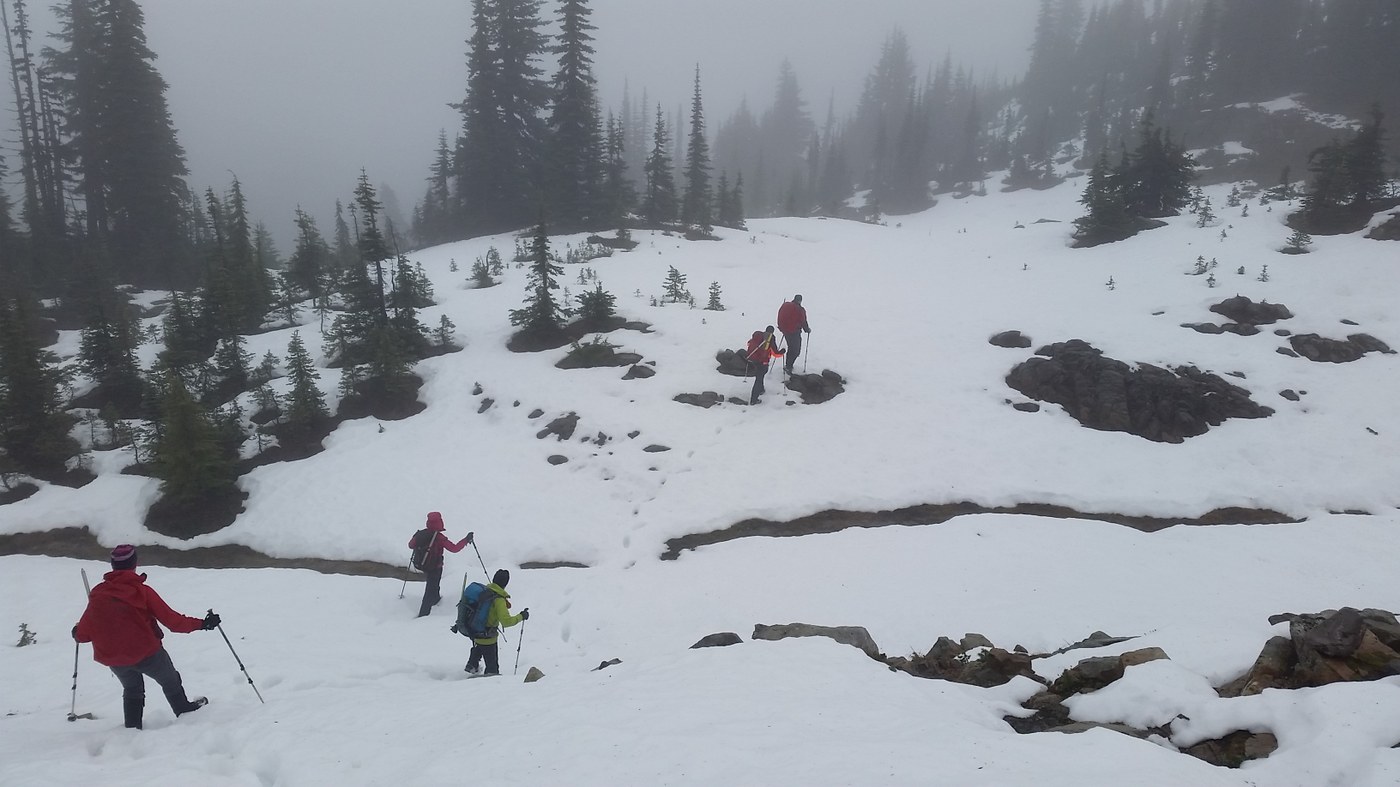 Snow covered trail