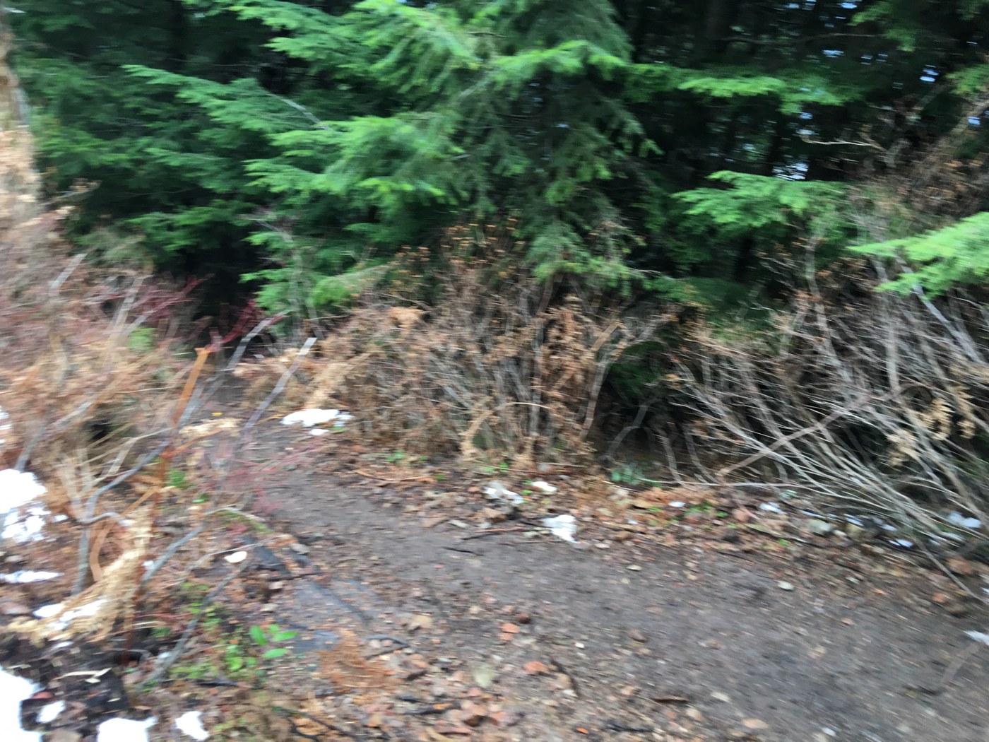 Mailbox Peak - Old Trail by JohnFang