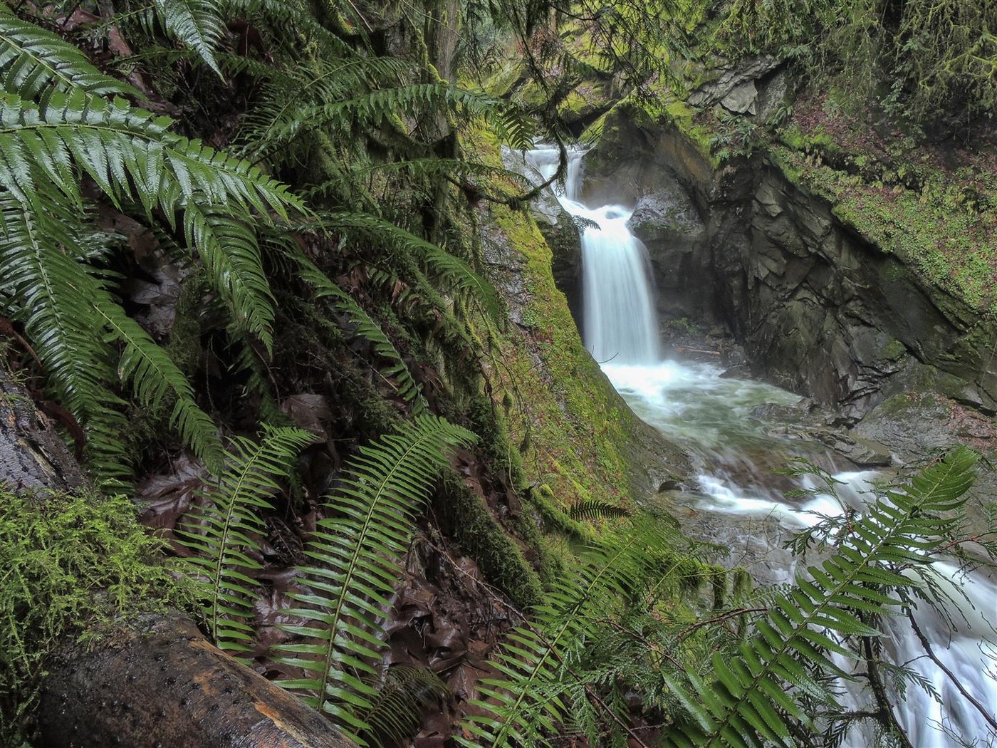 Beautiful upper falls - about 20'. My favorite.