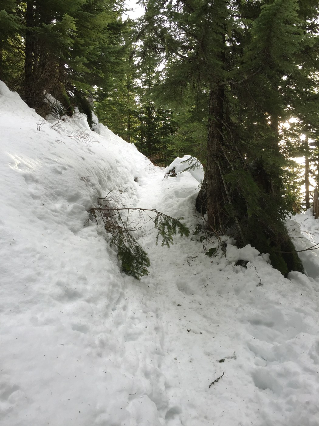 Near the junction with the new trail
