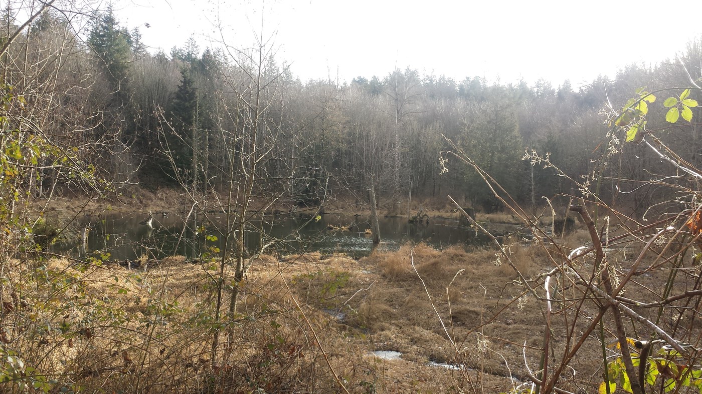 picture of one of the ponds (name not listed).
