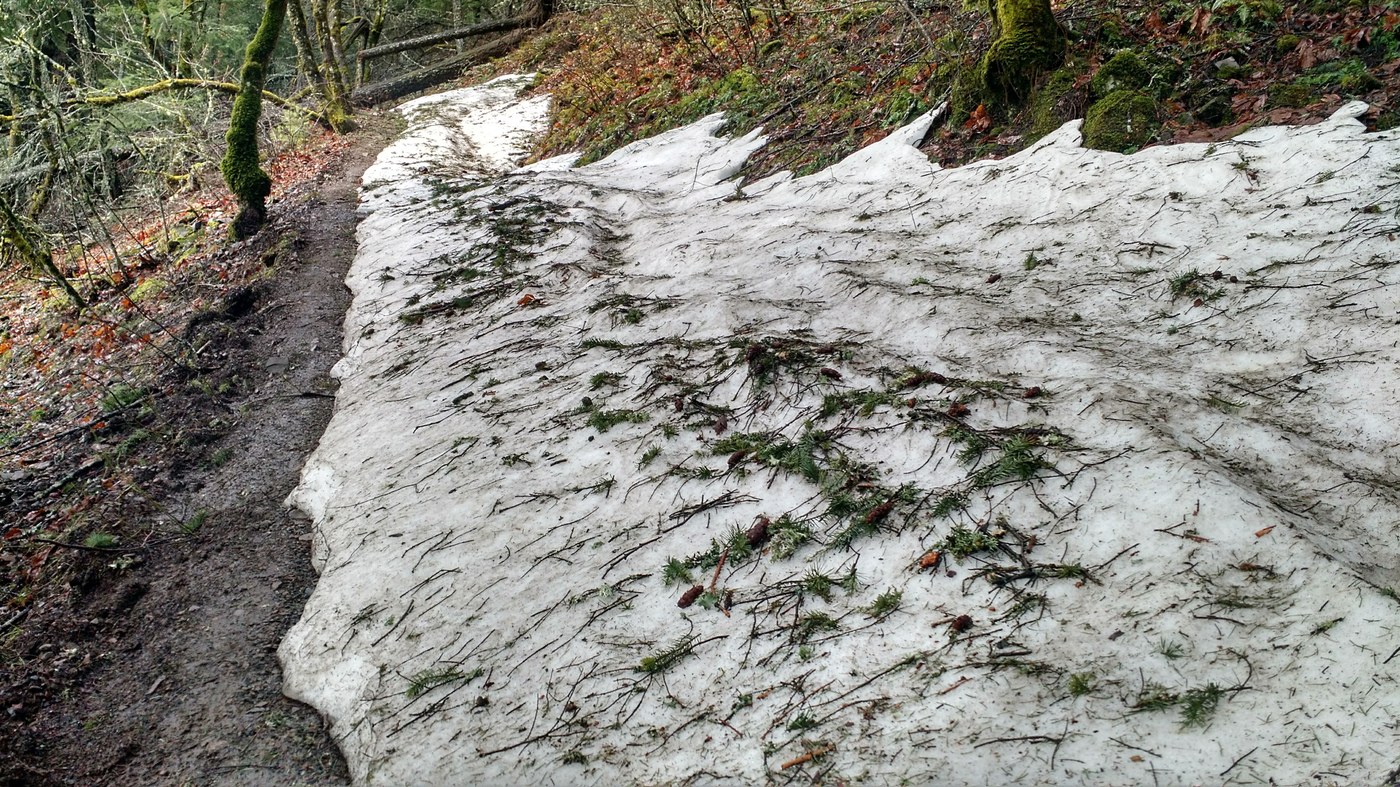 The first mile of the trail had a little space on the outside edge of the trail