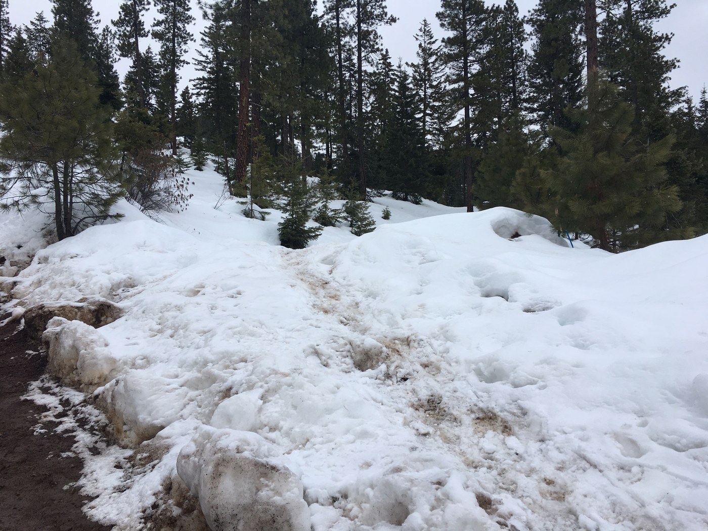 Hex Mountain Snowshoe by ambershay