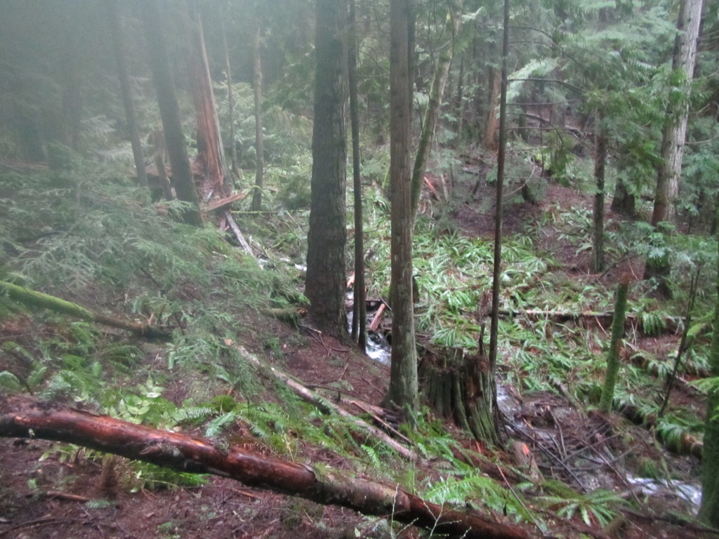 Mount Blanchard — Washington Trails Association