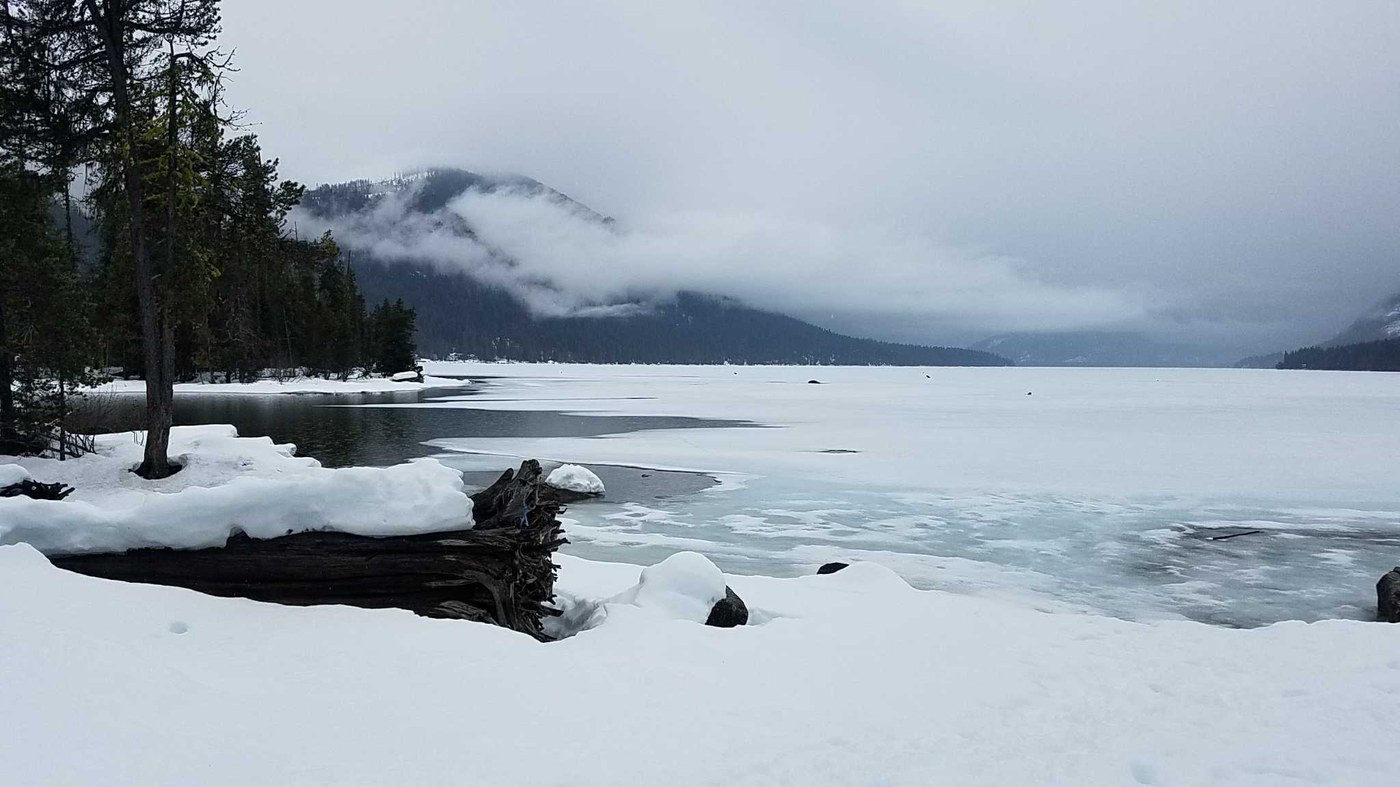 Lake Wenatchee State Park by Pollie