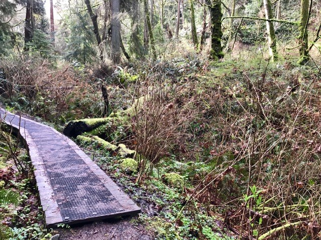 Trail kept less muddy by volunteers