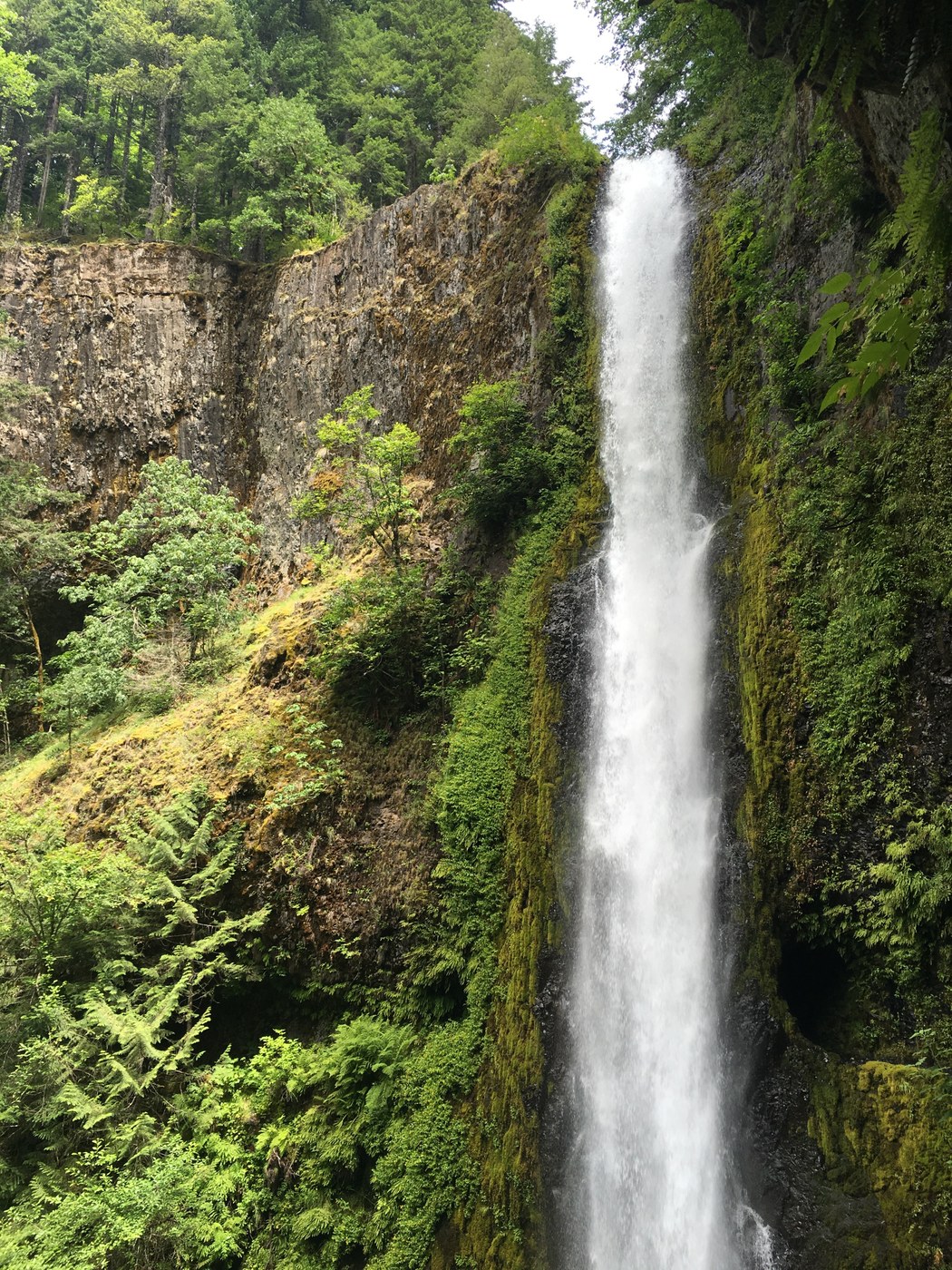 Tunnel Falls (note the tunnel behind it)