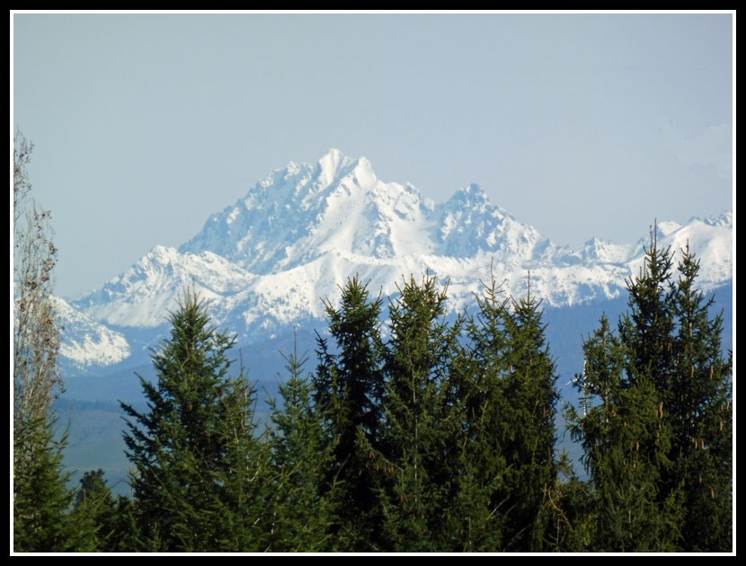 Mt. Stuart