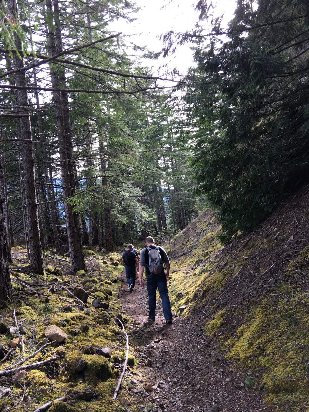 Spruce Railroad Trail by OutdorzBear