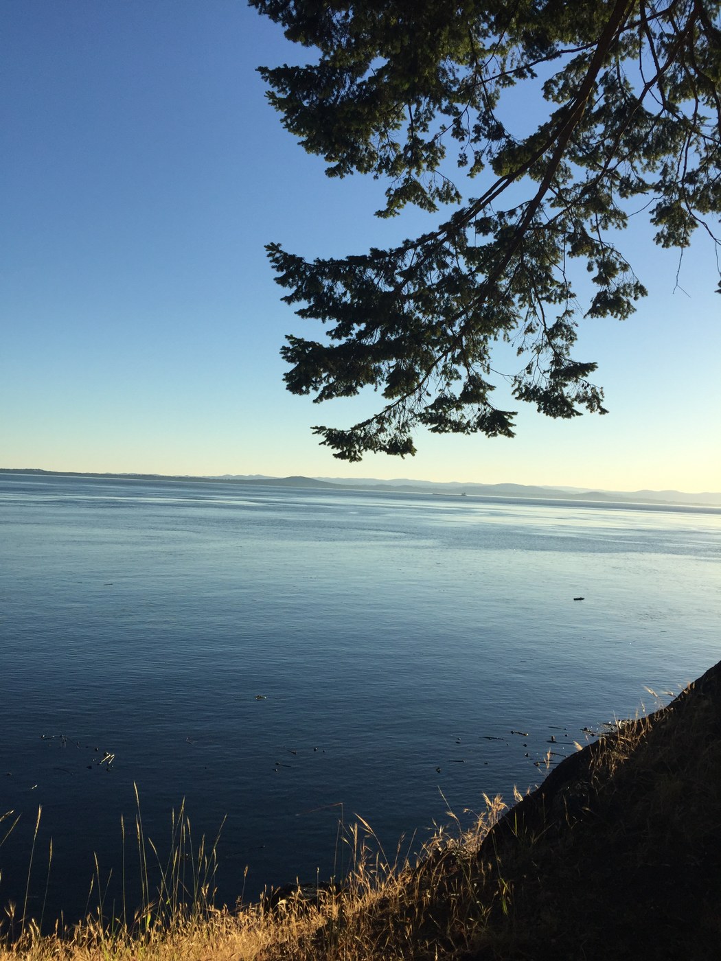 Lime Kiln State Park by UnicornBananaSlug