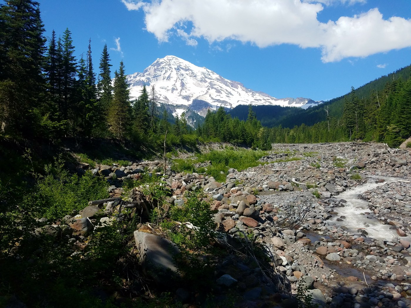 Mt Rainier!