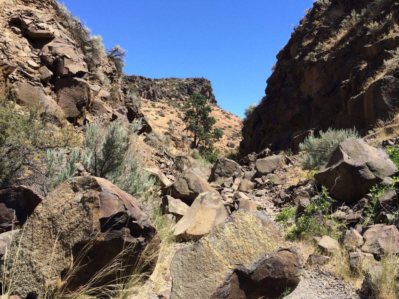 A narrower section of the canyon (lolohikes)