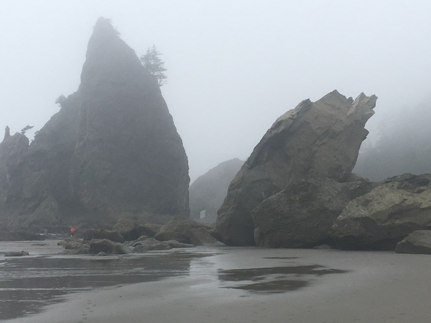 Hole in the Wall (Rialto Beach)