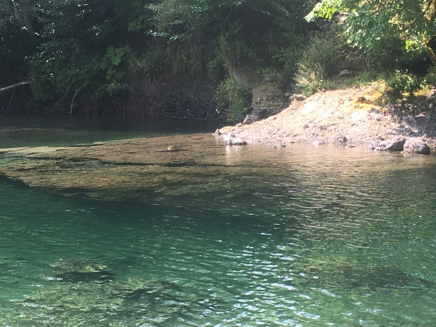 Sol Duc River