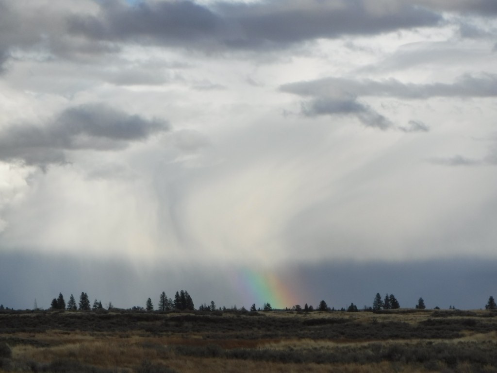 There was a little rain: enough to produce a gorgeous rainbow.